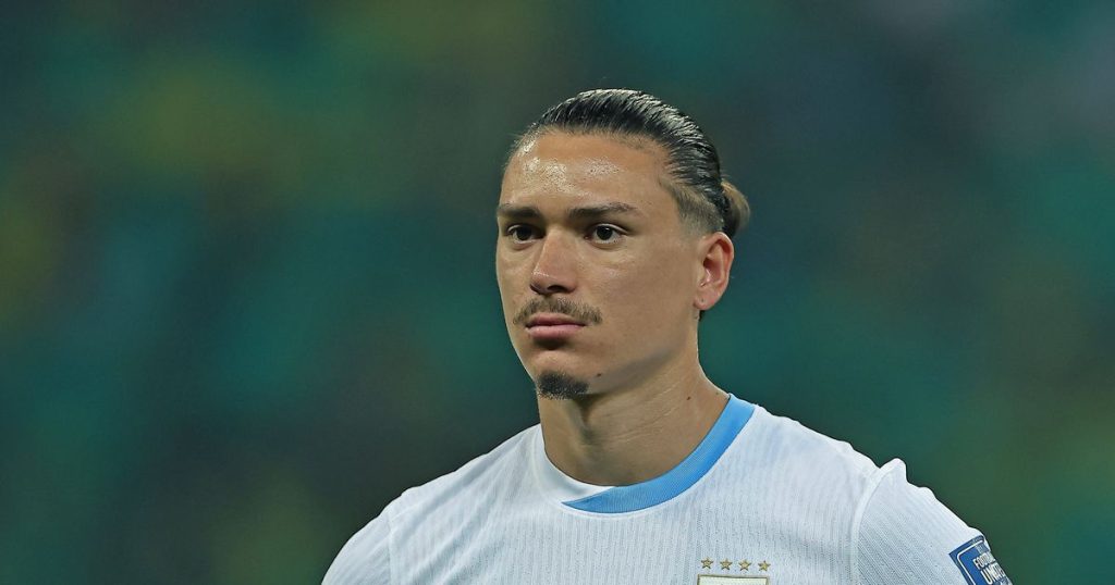 Latin America Benfica This - Latin America's 'Mermaids' Call on Ex-Benfica