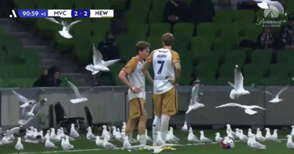 Arsenal Melbourne Victory - [EN] VÍDEO: esta tem de ser a melhor manobra de distração de sempre num livre!