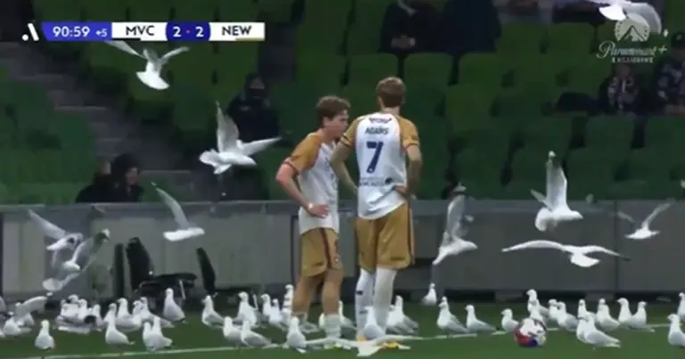 Arsenal Melbourne Victory - [EN] VÍDEO: esta tem de ser a melhor manobra de distração de sempre num livre!