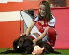WSL Transfer Window Highlights: Arsenal Leads Spending as Clubs Prioritize Stability